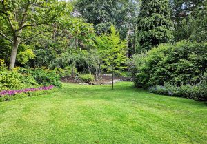 Optimiser l'expérience du jardin à Bressey-sur-Tille